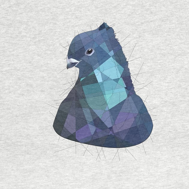 Pigeon by Blacklightco